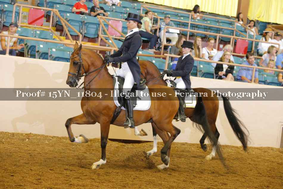 Proof 15YN_11804