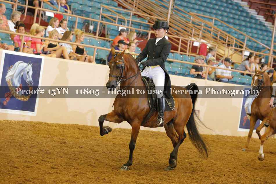 Proof 15YN_11805