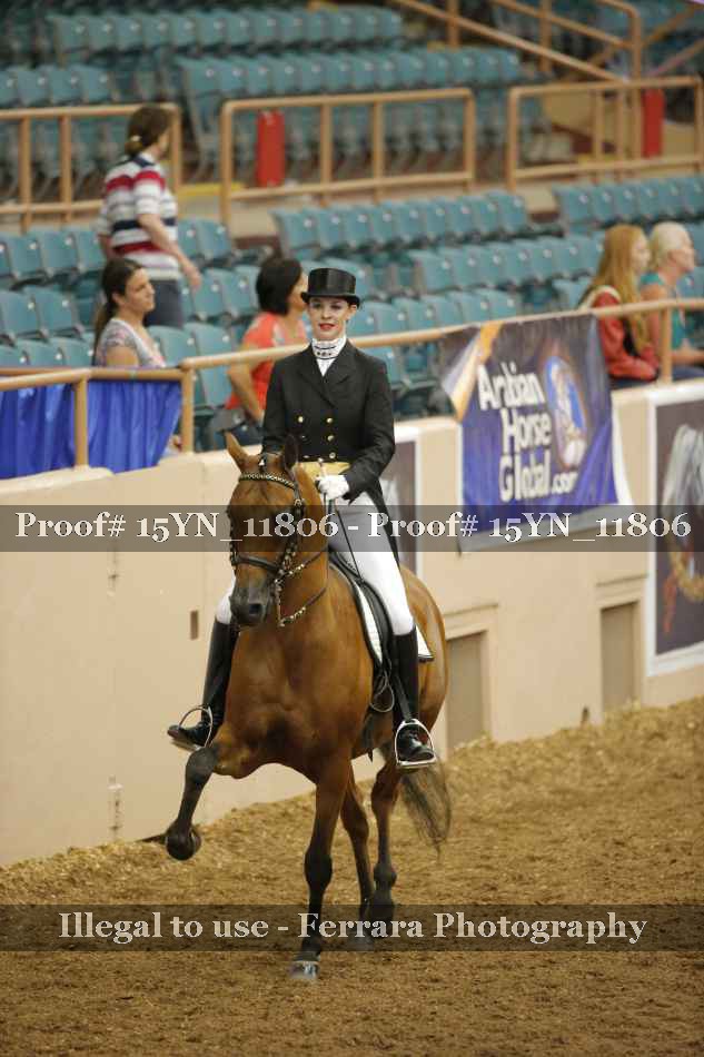 Proof 15YN_11806