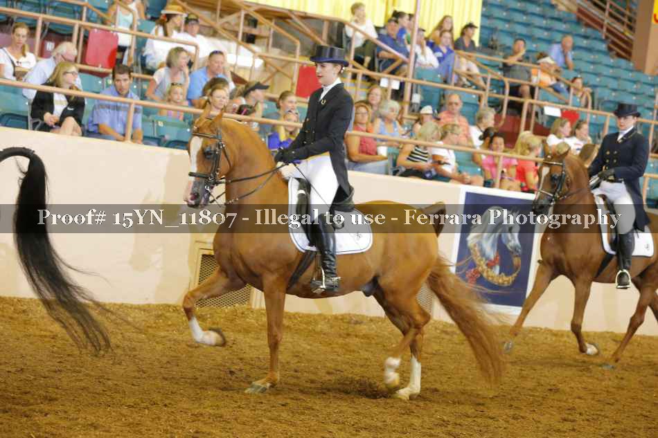 Proof 15YN_11807