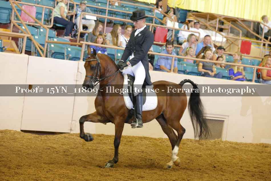 Proof 15YN_11809