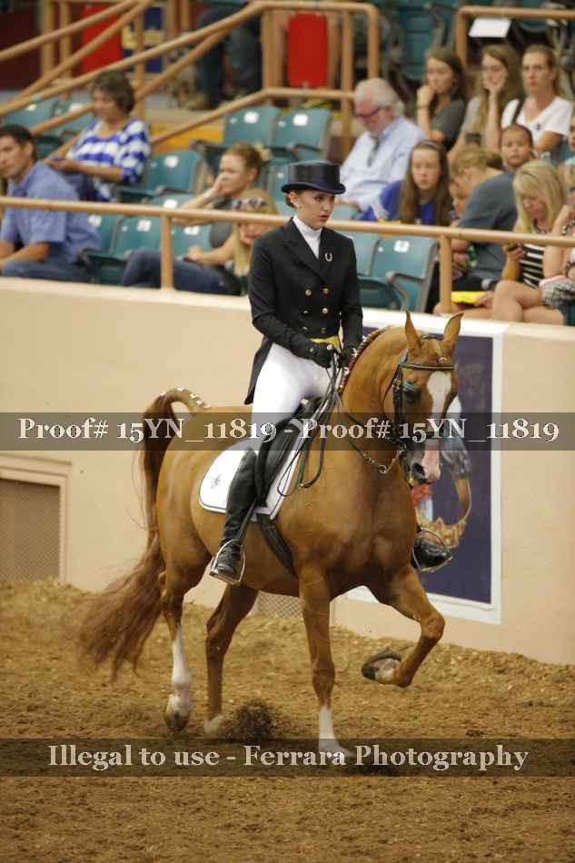 Proof 15YN_11819