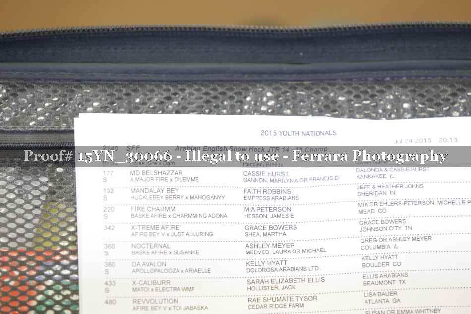 Proof 15YN_30066