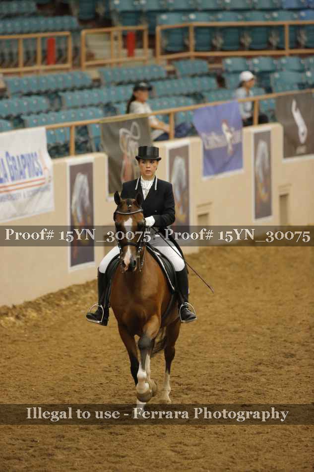 Proof 15YN_30075