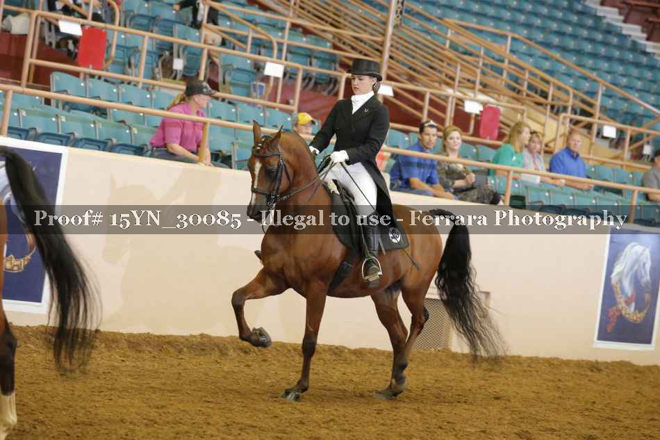 Proof 15YN_30085