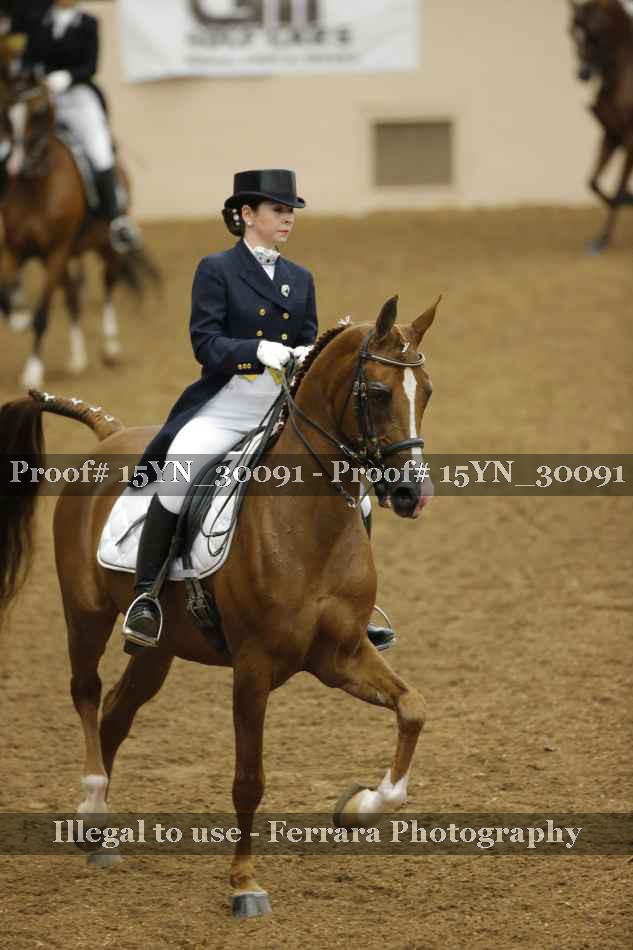 Proof 15YN_30091