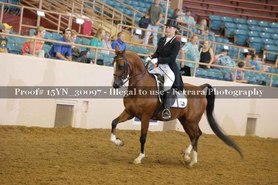 Proof 15YN_30097