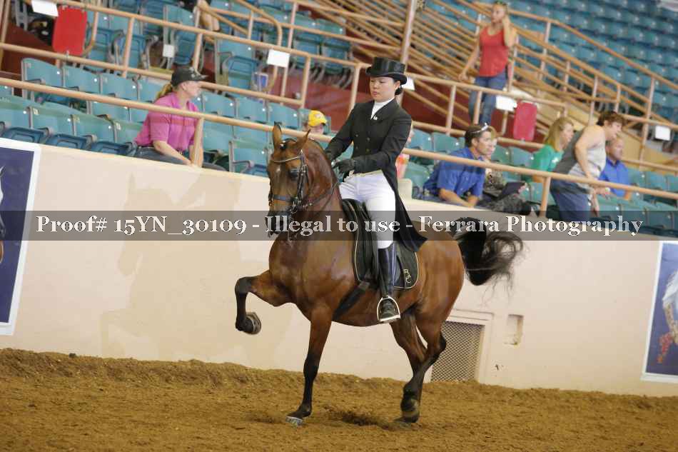 Proof 15YN_30109