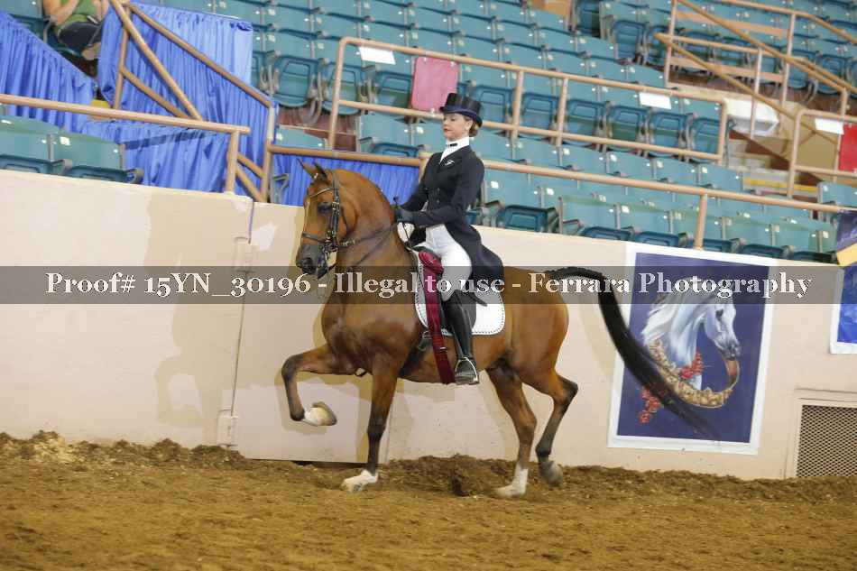 Proof 15YN_30196