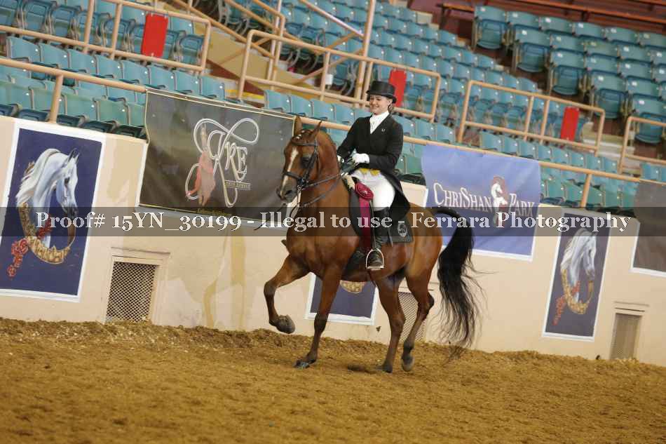 Proof 15YN_30199