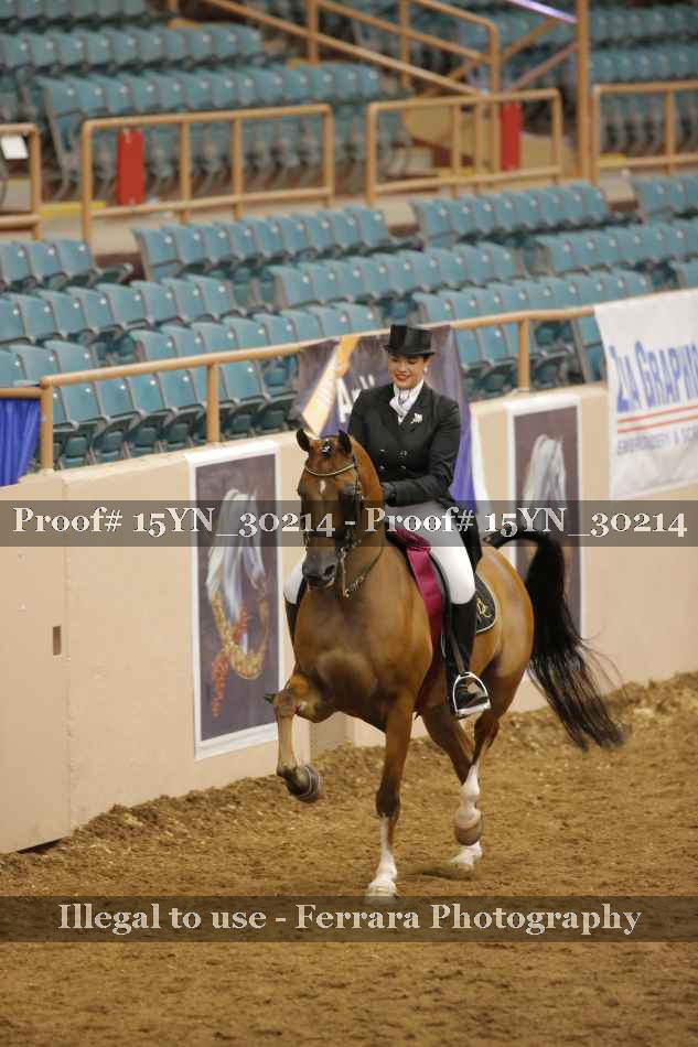 Proof 15YN_30214