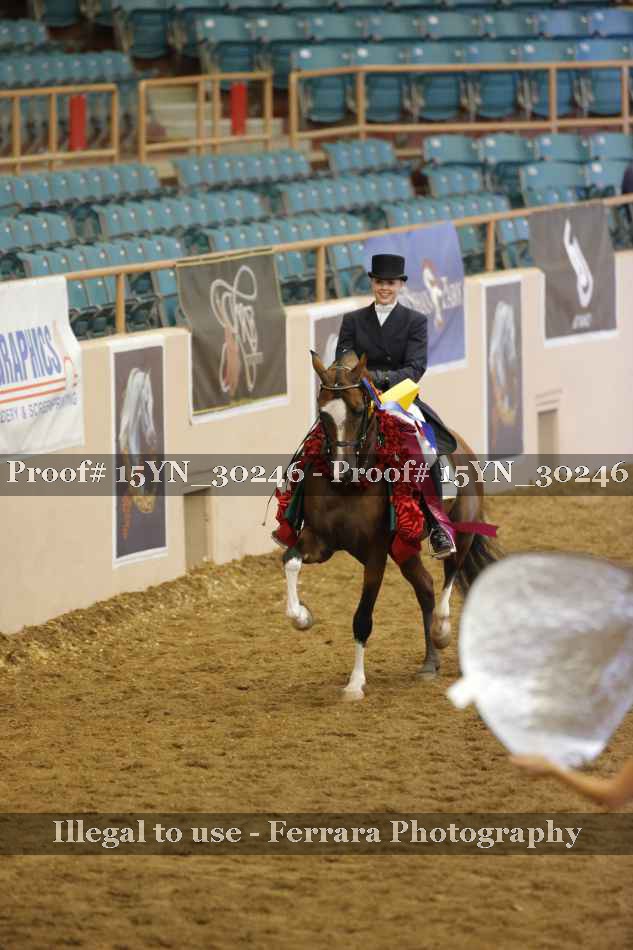 Proof 15YN_30246
