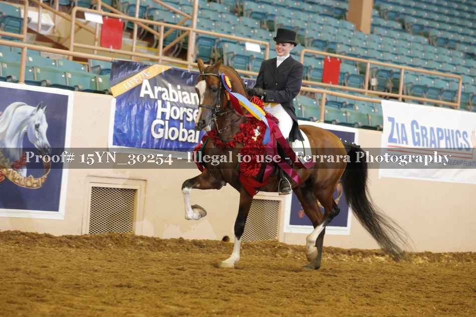 Proof 15YN_30254