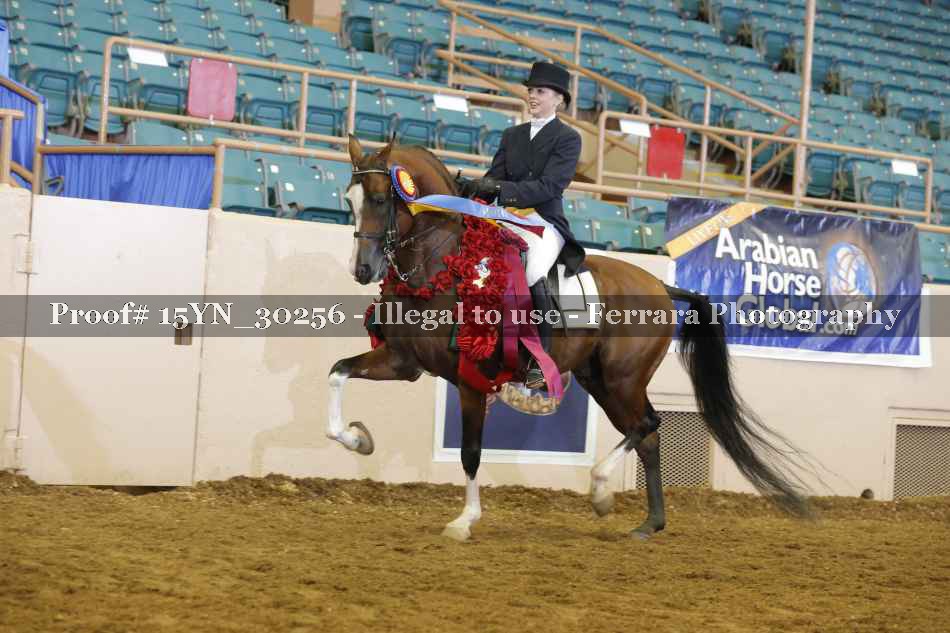 Proof 15YN_30256