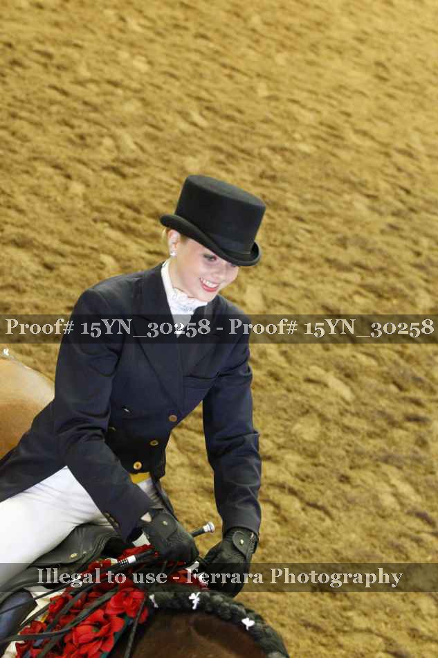 Proof 15YN_30258