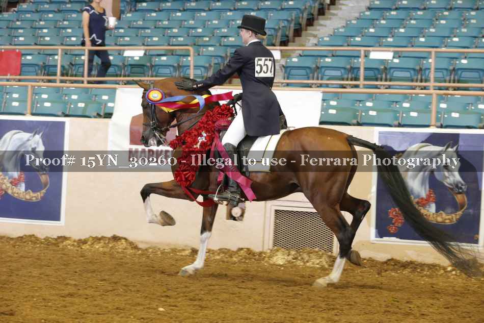 Proof 15YN_30260