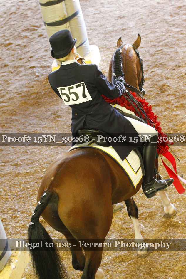 Proof 15YN_30268