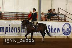 15YN_26206 proof