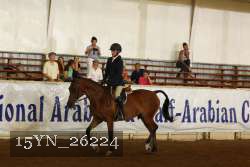 15YN_26224 proof