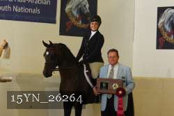 15YN_26264 proof