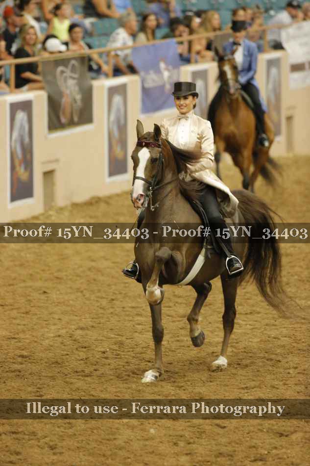 Proof 15YN_34403