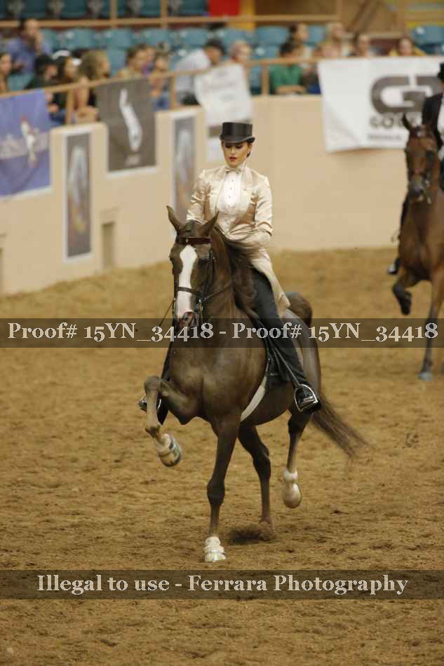 Proof 15YN_34418