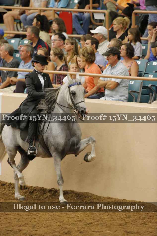 Proof 15YN_34465