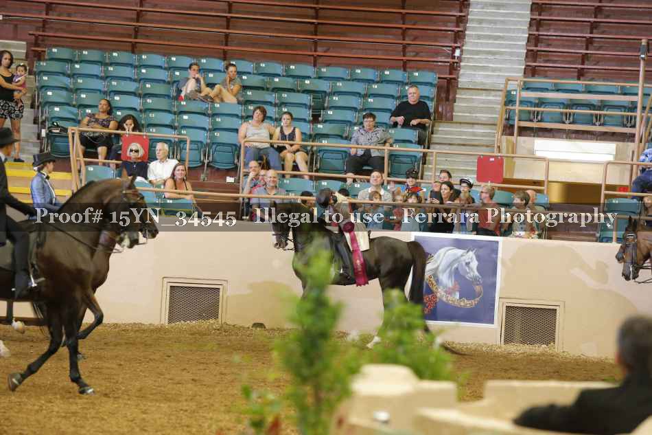 Proof 15YN_34545