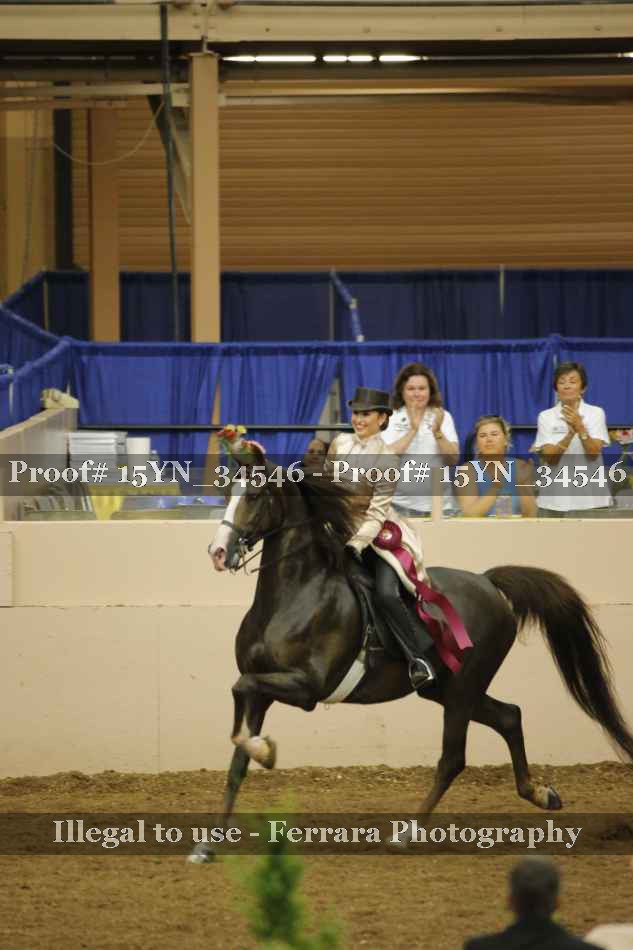 Proof 15YN_34546