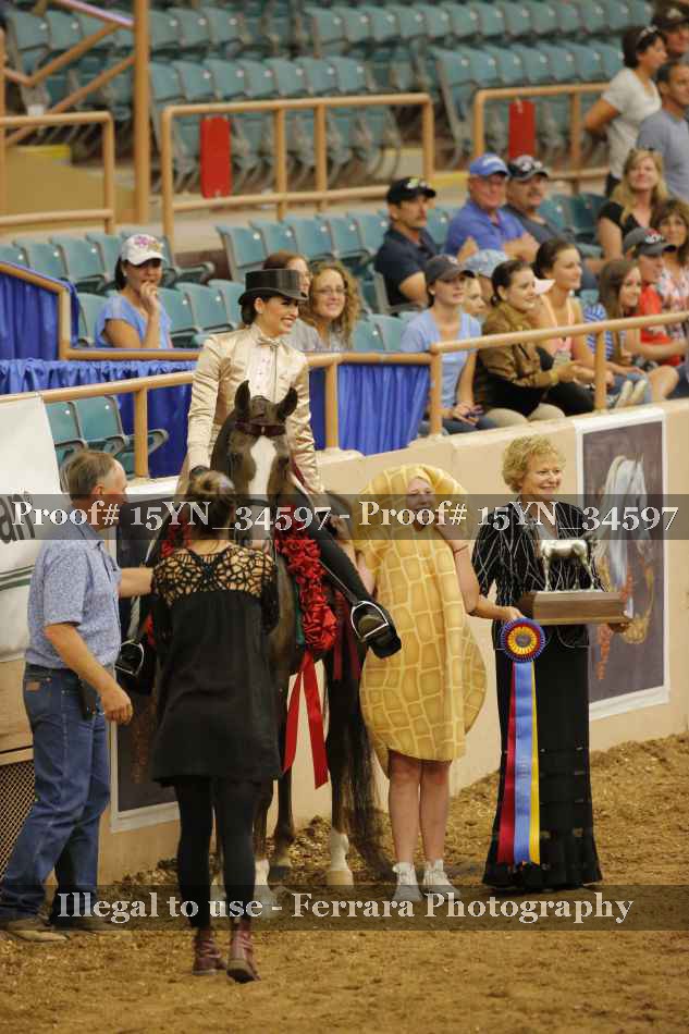 Proof 15YN_34597