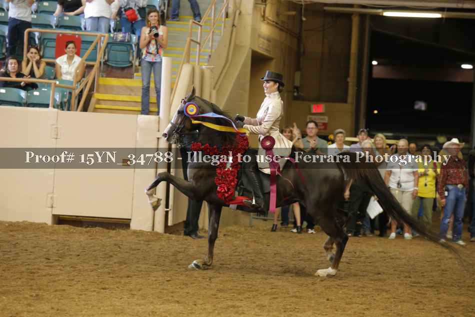 Proof 15YN_34788