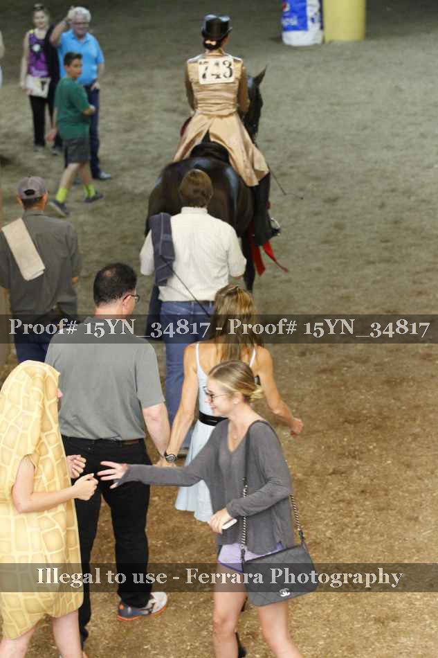 Proof 15YN_34817