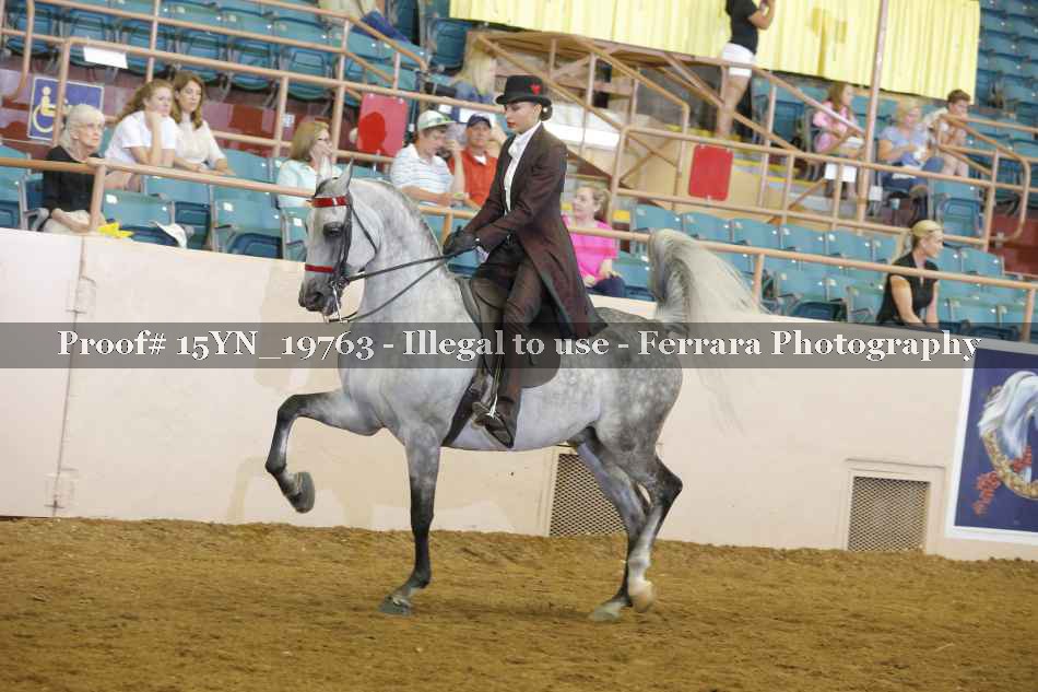 Proof 15YN_19763