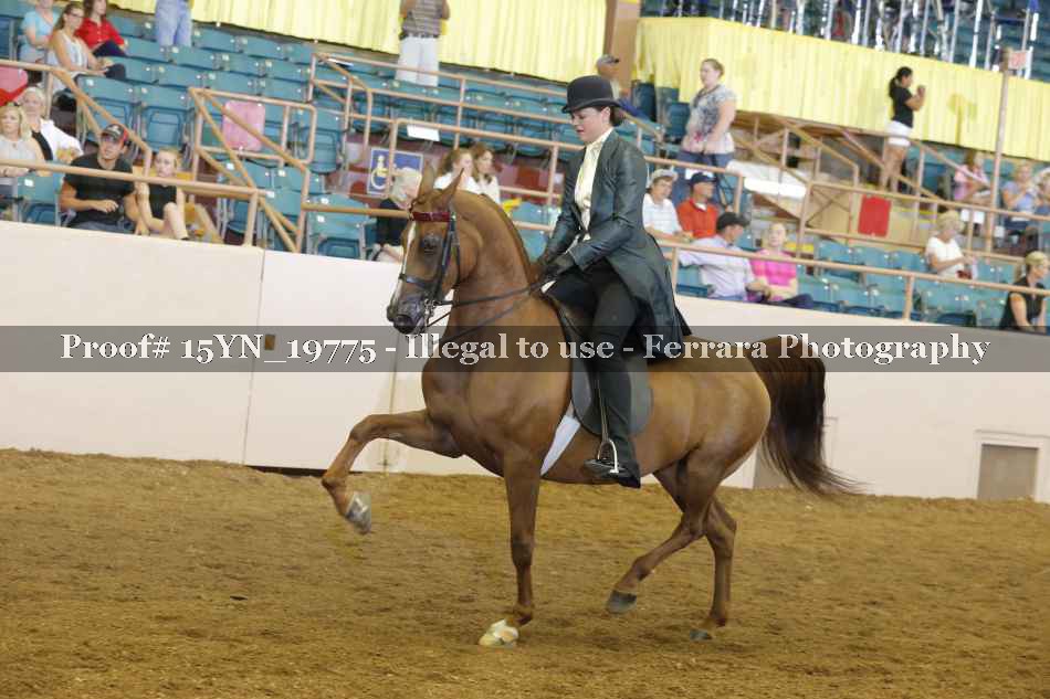 Proof 15YN_19775