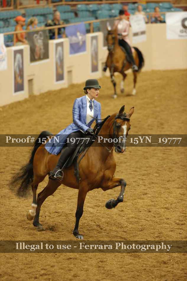 Proof 15YN_19777
