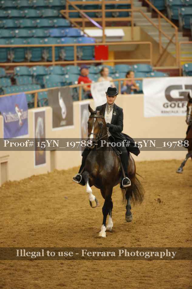 Proof 15YN_19788