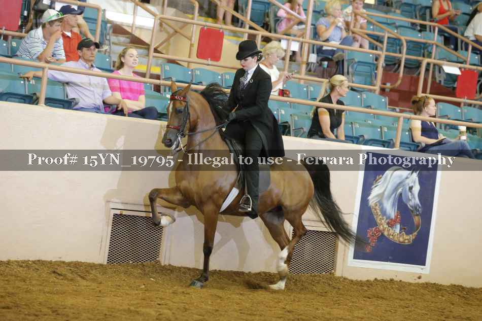 Proof 15YN_19795