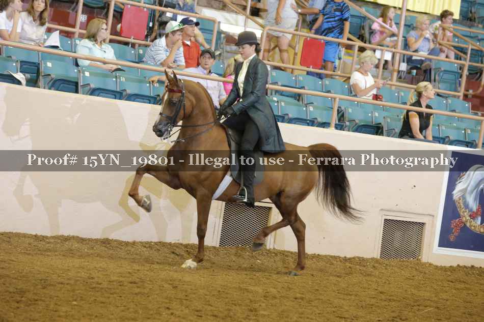 Proof 15YN_19801