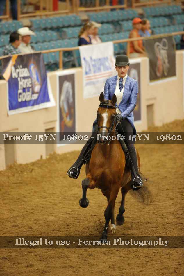 Proof 15YN_19802