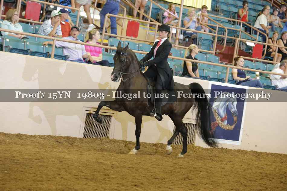 Proof 15YN_19803