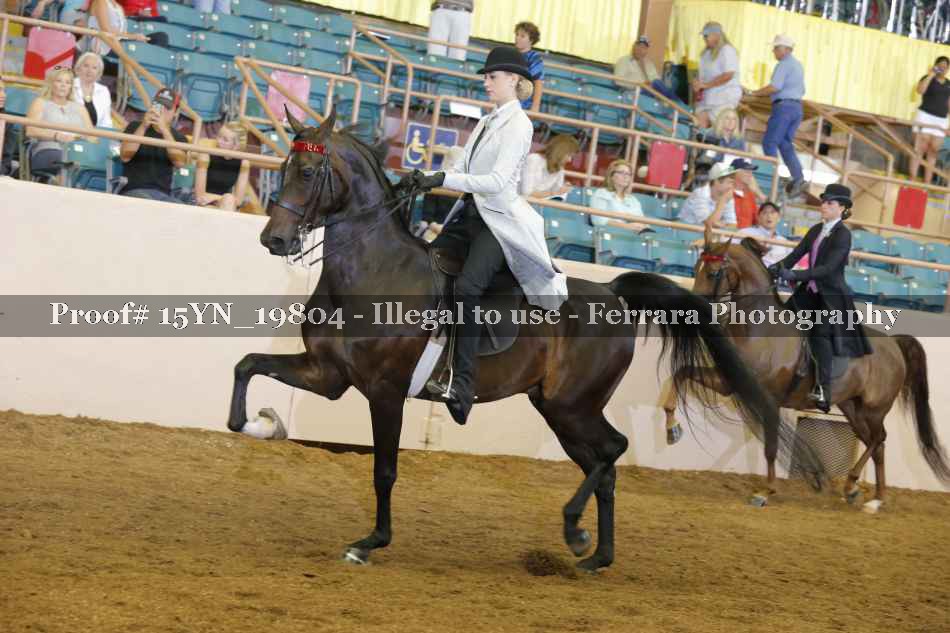 Proof 15YN_19804