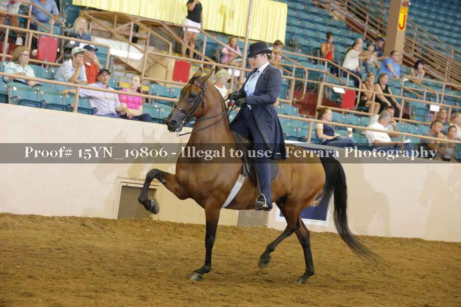 Proof 15YN_19806