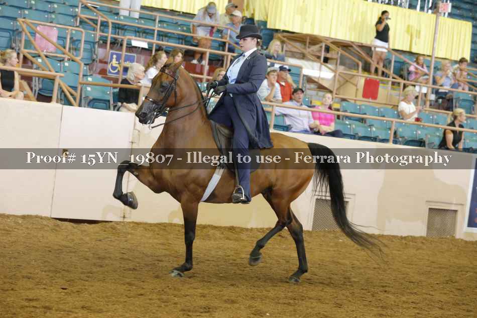 Proof 15YN_19807