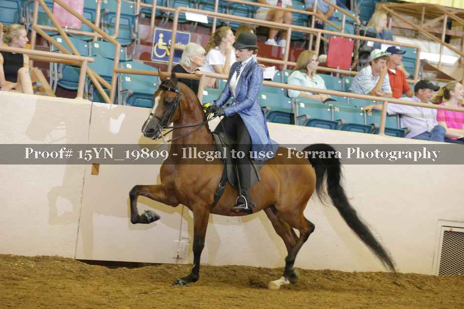 Proof 15YN_19809