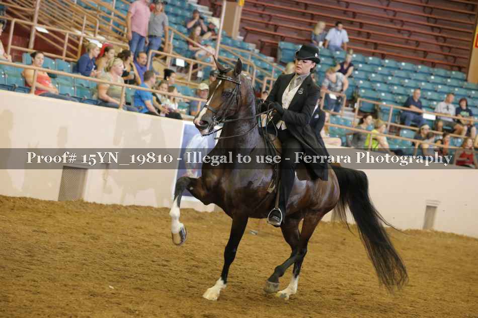 Proof 15YN_19810