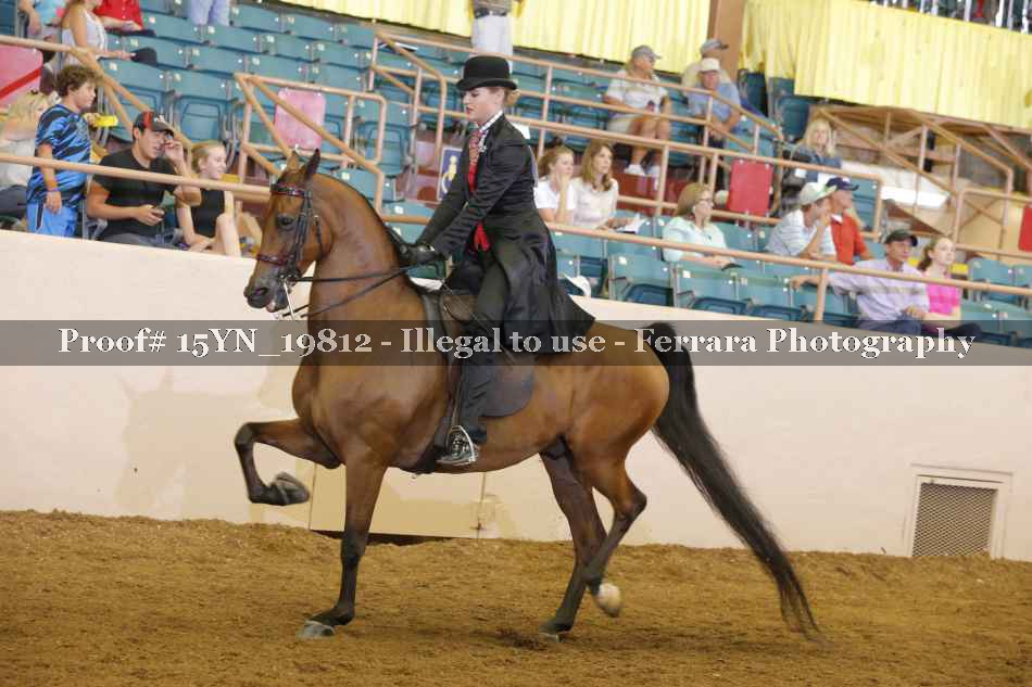 Proof 15YN_19812