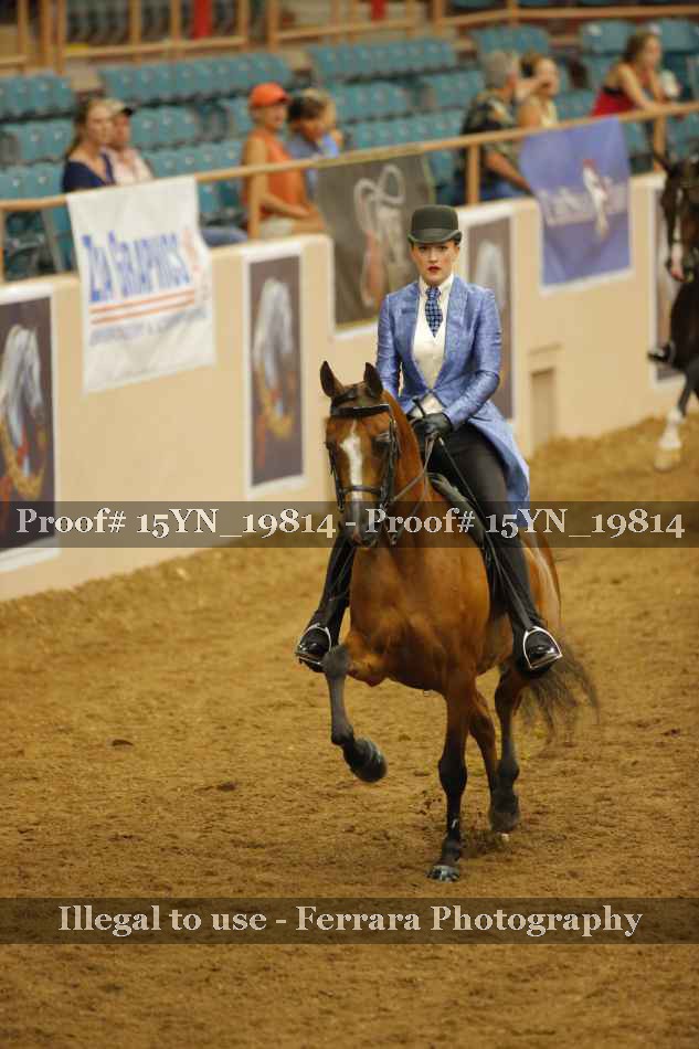 Proof 15YN_19814