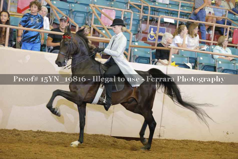 Proof 15YN_19816