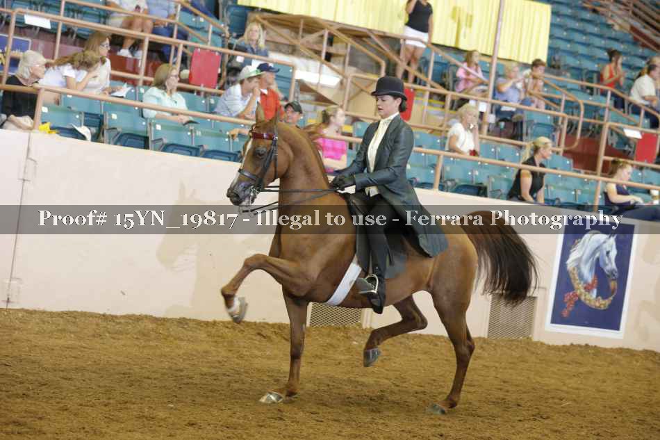 Proof 15YN_19817