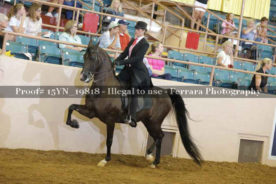 Proof 15YN_19818